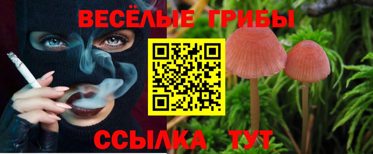 Галлюциногенные грибы Cubensis  Галлюциногенные грибы ЛСД  Новосибирск  наркотики  Вход с VPN 