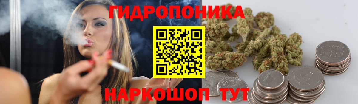 Бошки Шишки ГИДРОПОН  Вход с VPN  Бошки Шишки OG Kush  Каннабис Bruce Banner  Новосибирск 